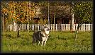 6 Hoest-Herbst-Autumn 07 * 3487 x 1989 * (5.77MB)